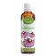 Serafin Echinacea – tinktura z bylin 50 ml
