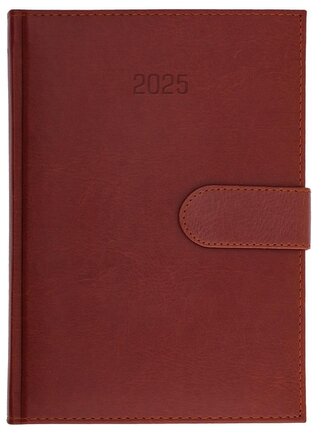 Kalendarz 2025 B5 dzienny Nebraska magnes brązowy