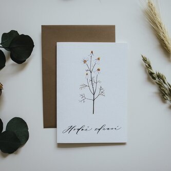 Be Nice přání - Hodně zdraví