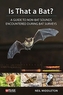 Is That a Bat?