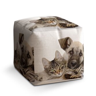 Taburet Cube Kočička a štěňátko: 40x40x40 cm