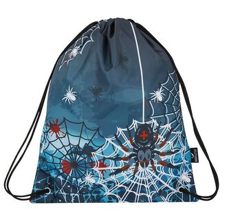 BAGMASTER Vak na záda ALFA pavouk 39 x 31 cm
