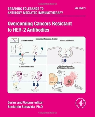 Overcoming Cancers Resistant to HER-2 Antibodies