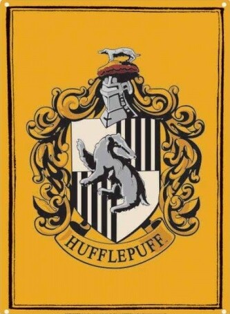 Plechová cedule Harry Potter - Mrzimor, 15 × 21 cm