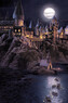 Umělecký tisk Harry Potter - Hogwarts full moon, 26.7 × 40 cm
