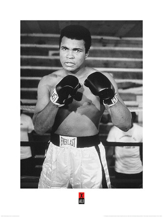Umělecký tisk Muhammad Ali - Pose, 60 × 80 cm