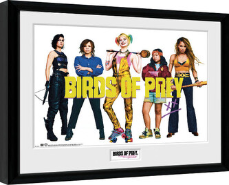 Obraz na zeď - Birds Of Prey: Podivuhodná proměna Harley Quinn - Group, 34 × 44.2 cm