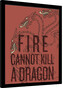 Obraz na zeď - Hra o Trůny (Game of Thrones) - Fire Cannot Kill The Dragon, 30 × 40 cm