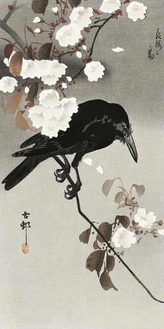 Umělecký tisk Crow And Cherry Blossom, Ohara Koson, 20 × 40 cm