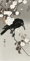Umělecký tisk Crow And Cherry Blossom, Ohara Koson, 20 × 40 cm