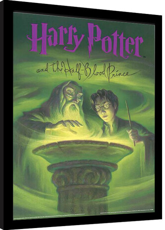 Obraz na zeď - Harry Potter - Princ Dvojí Krve, 30 × 40 cm
