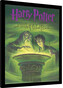 Obraz na zeď - Harry Potter - Princ Dvojí Krve, 30 × 40 cm