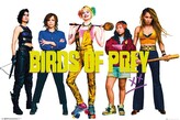 Plakát, Obraz - Birds of Prey: Podivuhodná proměna Harley Quinn - Group, 91.5 × 61 cm
