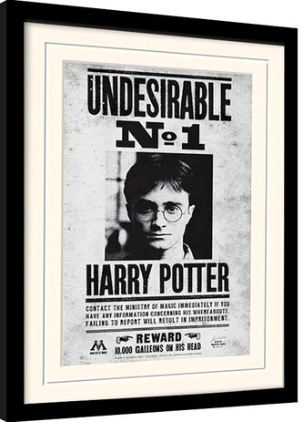 Obraz na zeď - Harry Potter - Nežádoucí č.1, 34.3 × 44.5 cm