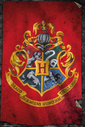 Plakát, Obraz - Harry Potter - Hogwarts, 61 × 91.5 cm