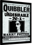 Obraz na zeď - Harry Potter - The Quibbler, 34.3 × 44.5 cm