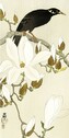 Umělecký tisk Myna On Magnolia Branch, Ohara Koson, 20 × 40 cm