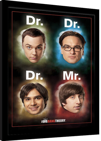 Obraz na zeď - The Big Bang Theory (Teorie Velkého Třesku) - Dr Mr, 30 × 40 cm
