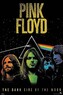 Plakát, Obraz - Pink Floyd - Dark Side of the Moon, 61 × 91.5 cm