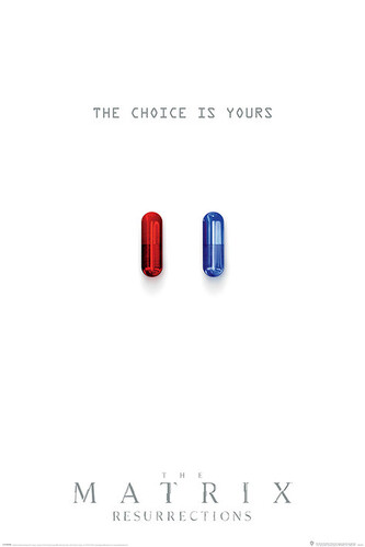 Plakát, Obraz - The Matrix: Resurrections - The Choice is Yours, 61 × 91.5 cm