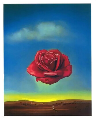 Umělecký tisk Meditující růže, 1958, Salvador Dalí, 24 × 30 cm