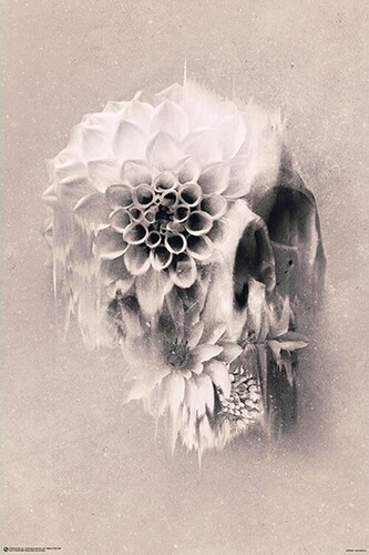 Plakát, Obraz - Ali Gülec - Decay Skull, 61 × 91.5 cm