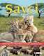 Savci