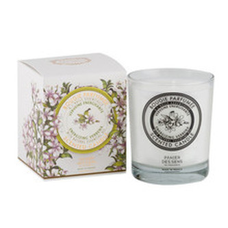 Panier Des Sens Verbena Scented Candle - Vonná svíčka ve skle 180. ml pro ženy