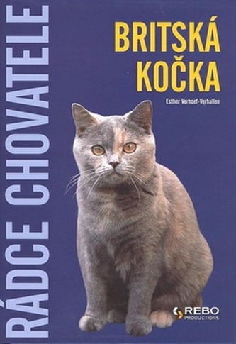 Britská kočka Britská kočka