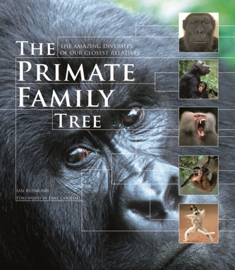 The Primate Family Tree