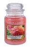 Yankee Candle Sun-Drenched Apricot Rose Vonná sviečka 623 g unisex