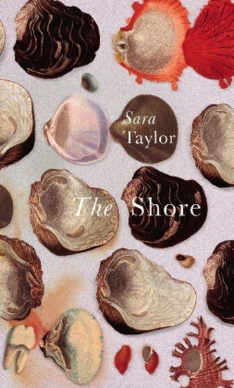 The Shore
