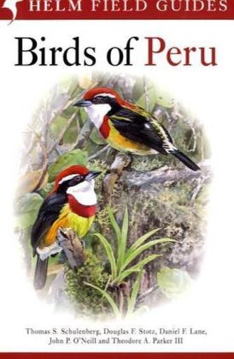 Birds of Peru
