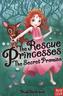 Rescue Princesses: The Secret Promise