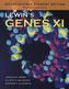 Genes X