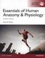 Essentials of Human Anatomy & Physiology, Global Edition