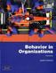 Behavior in Organizations