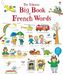 The Usborne Big Book of French Words