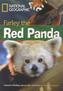 Farley the Red Panda