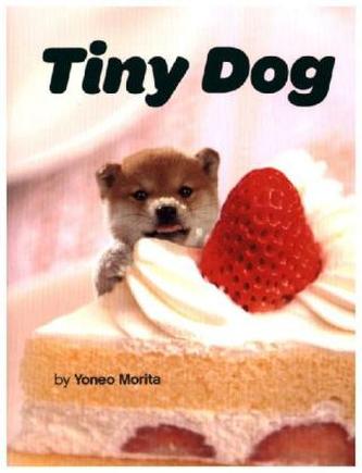 Tiny Dog