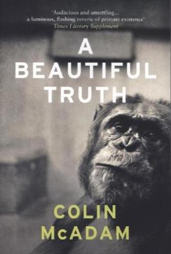 A Beautiful Truth. Eine schöne Wahrheit, englische Ausgabe