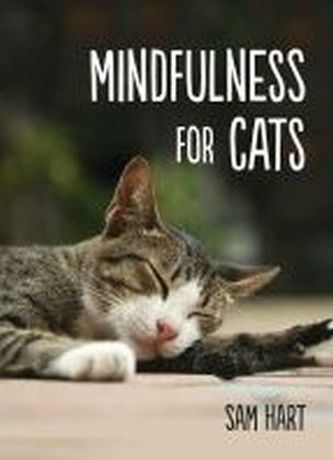 Mindfulness for Cats