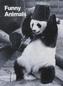 Funny Animals, 30 Postkarten m. Umschlag