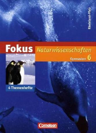 6. Schuljahr, 4 Themenhefte