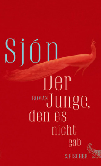 Der Junge, den es nicht gab