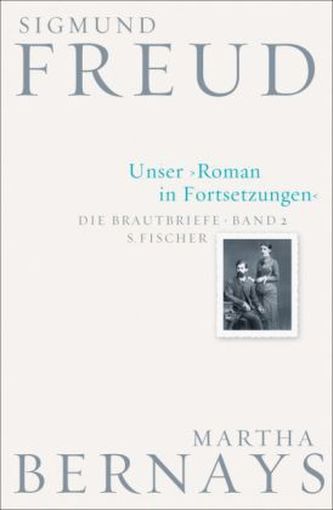 Unser Roman in Fortsetzungen