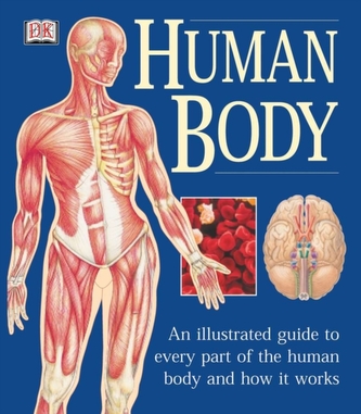 The Human Body