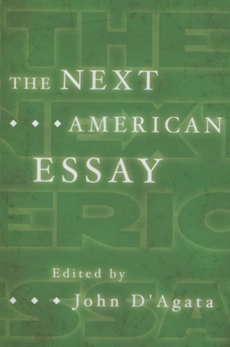 The Next American Essay