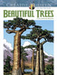 Creative Haven Beautiful Trees Coloring Book