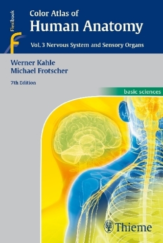 Nervous System and Sensory Organs